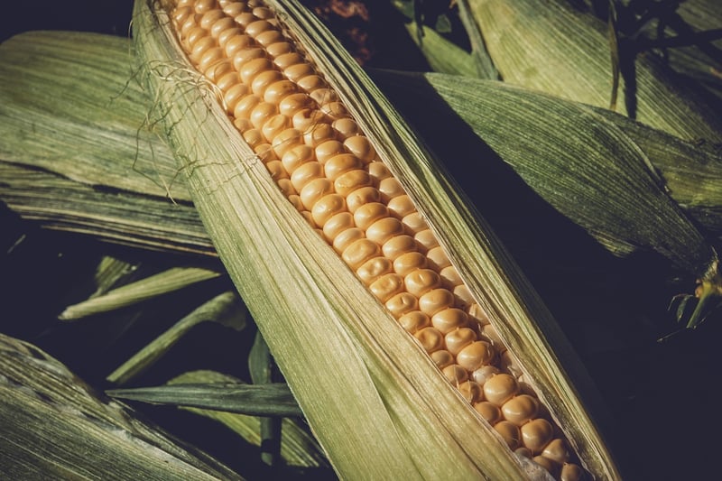 Corn and green beans